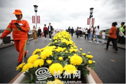 国庆首日，西湖游客悠然雨中行！有游客断桥上用手机看起“大阅兵”